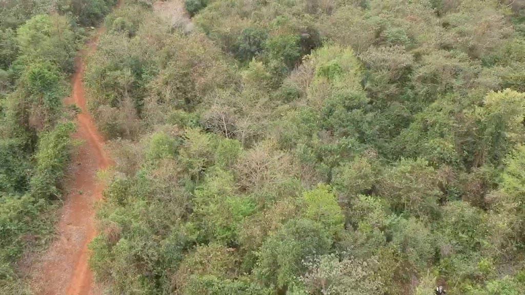 overgrown-crash-sites-along-the-trail-laos