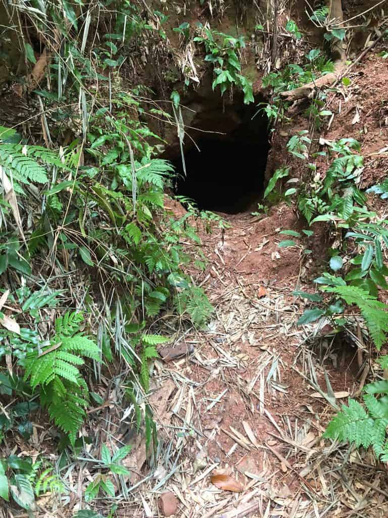 path-leading-into-nva-tunnel-ho-chi-minh-trail-xepon-area
